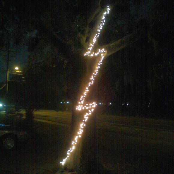 Meet your Posher, Posh - Picture 1 of 1